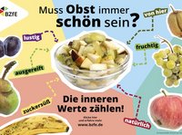 Die Infografik zeigt: Obst ist lecker, auch wenn es nicht makellos aber trotzdem ausgereift ist, zuckersüß schmeckt, lustig aussieht und vieles mehr.