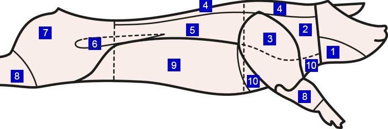Auf einer grafischen Darstellung eines Schweins sind insgesamt 10 Teilstücke eingezeichnet und nummeriert, die im Beschreibungstext benannt werden.