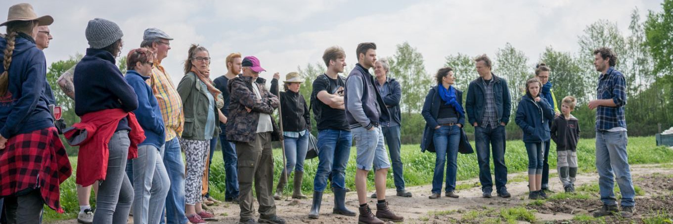 Solawi-Mitglieder und ein Gärtner stehen auf einem Feld.