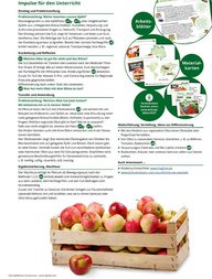 Unterrichtsverlauf aus dem Material Was hat mein Apfel mit dem Klima zu tun.