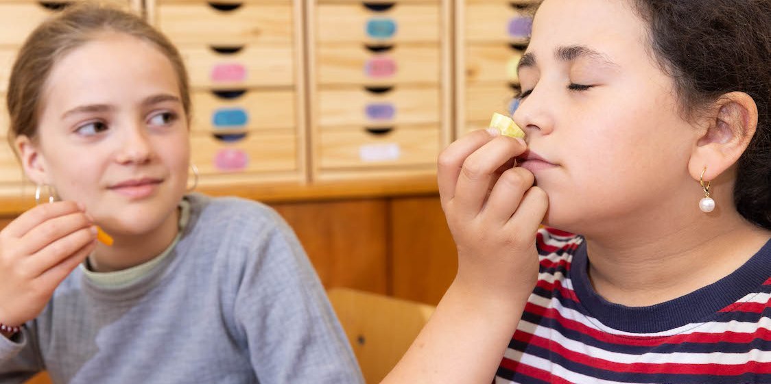 Zwei Mädchen sitzen an ihrem Platz im Klassenraum und riechen an Obststückchen.. Artikel "Die Methode SinnExperimente" öffnen.