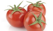 Runde rote Tomaten