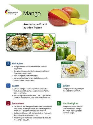 Ansicht des Lebensmittel-Infoblattes Mango