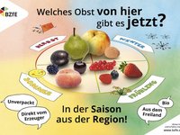 Die Infografik zeigt, wann welches Obst bei uns wächst.