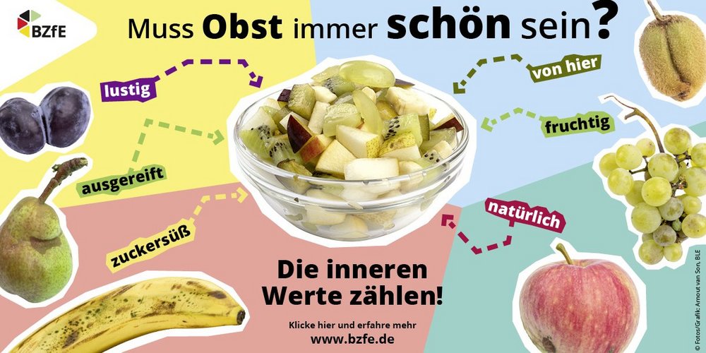 In einem Glasschälchen ist klein geschnittenes Obst. Rundherum sind nicht makellose Früchte mit anderen Begriffen für nicht makellos angeordnet. igen Begriffen angeordnet