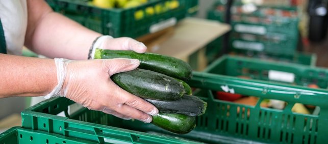 Eine Person mit Hygienehandschuhen reicht einige angestoßene Zucchini weiter.