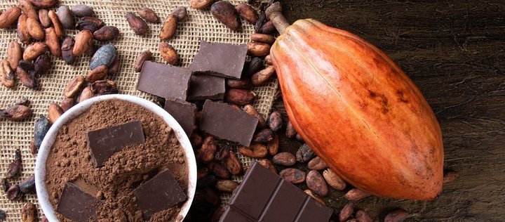 Auf einem Tisch liegen eine orange Kakaofrucht, rohe Kakaobohnen, Schokoladenstücke und eine Schale mit Kakaopulver. 