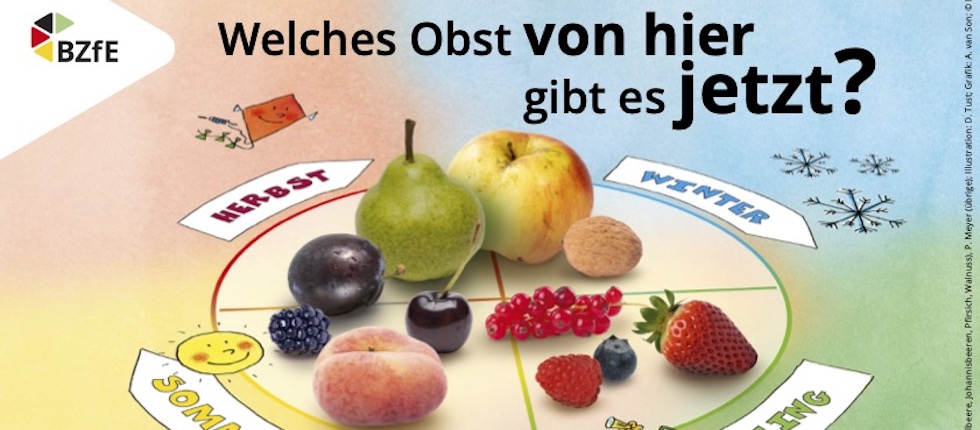 Was ist Obst der Saison?- BZfE