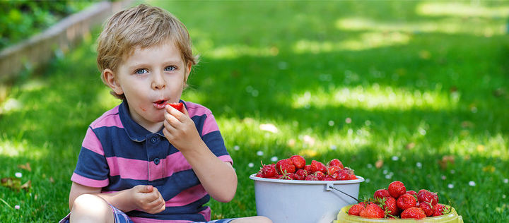 Ein Junge sitzt auf einer Wiese und isst Erdbeeren