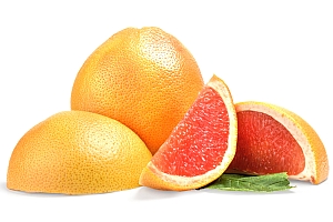 Zeit für Zitrusfrüchte: Das sollten Sie über Orangen, Mandarinen & Co.  wissen