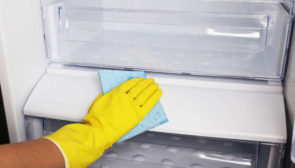 Handschuhhand reinigt Kühlfach