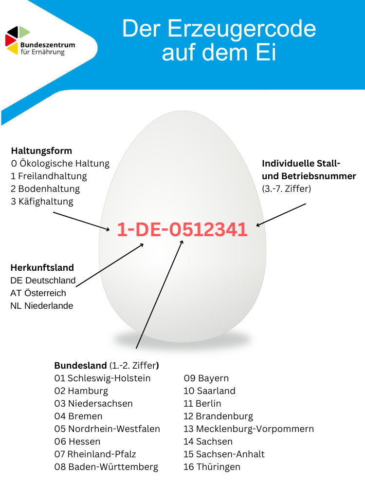 Die Grafik erklärt die Bedeutung der Ziffern und Buchstaben des Erzeugercodes aus einem Hühnerei.