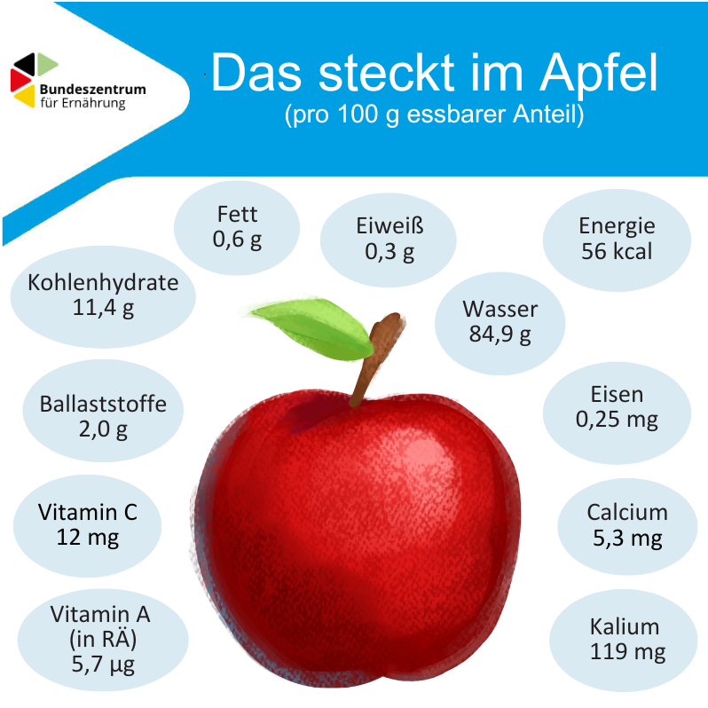 Die Grafik zeigt die Inhaltsstoffe von Apfel je 100 Gramm essbarar Anteil.