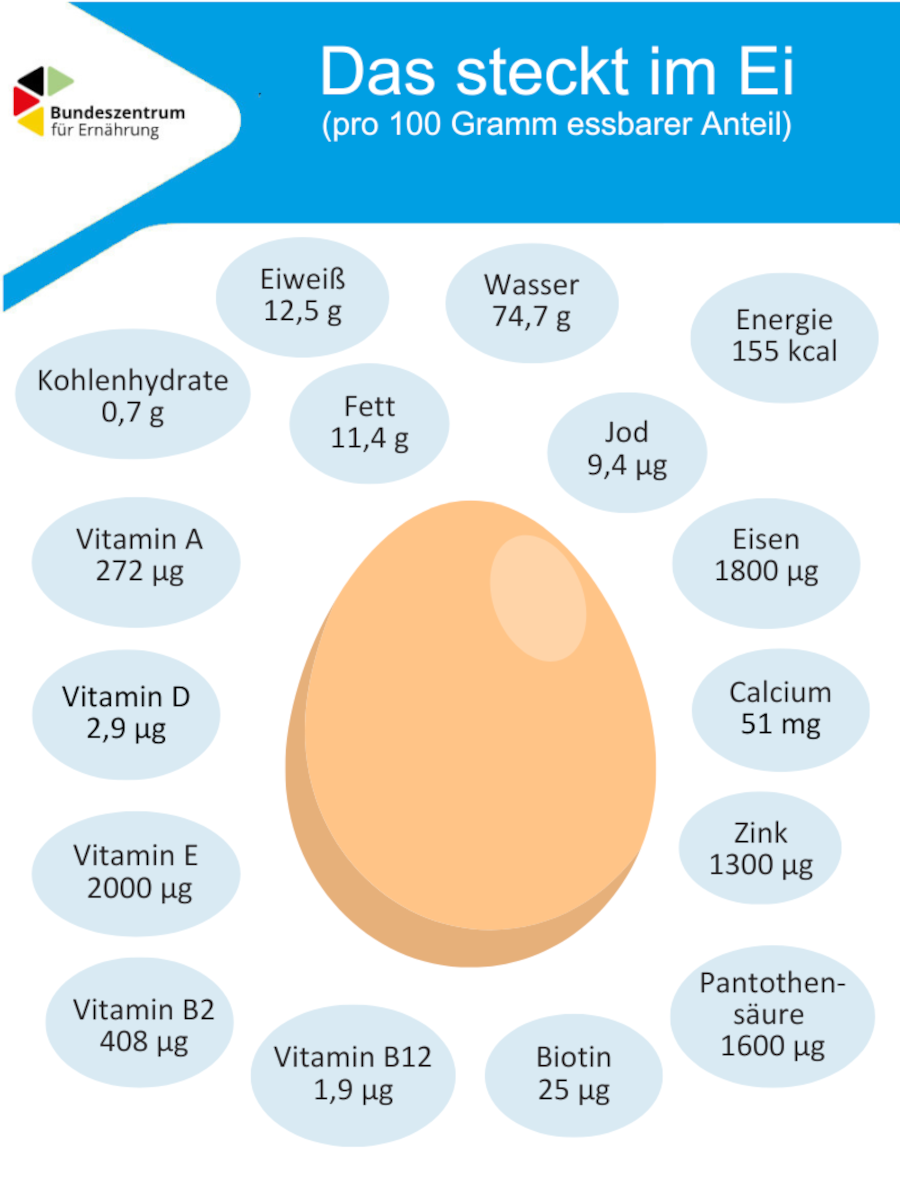 Eine Grafik zeigt wichtige Inhaltsstoffe im Ei.