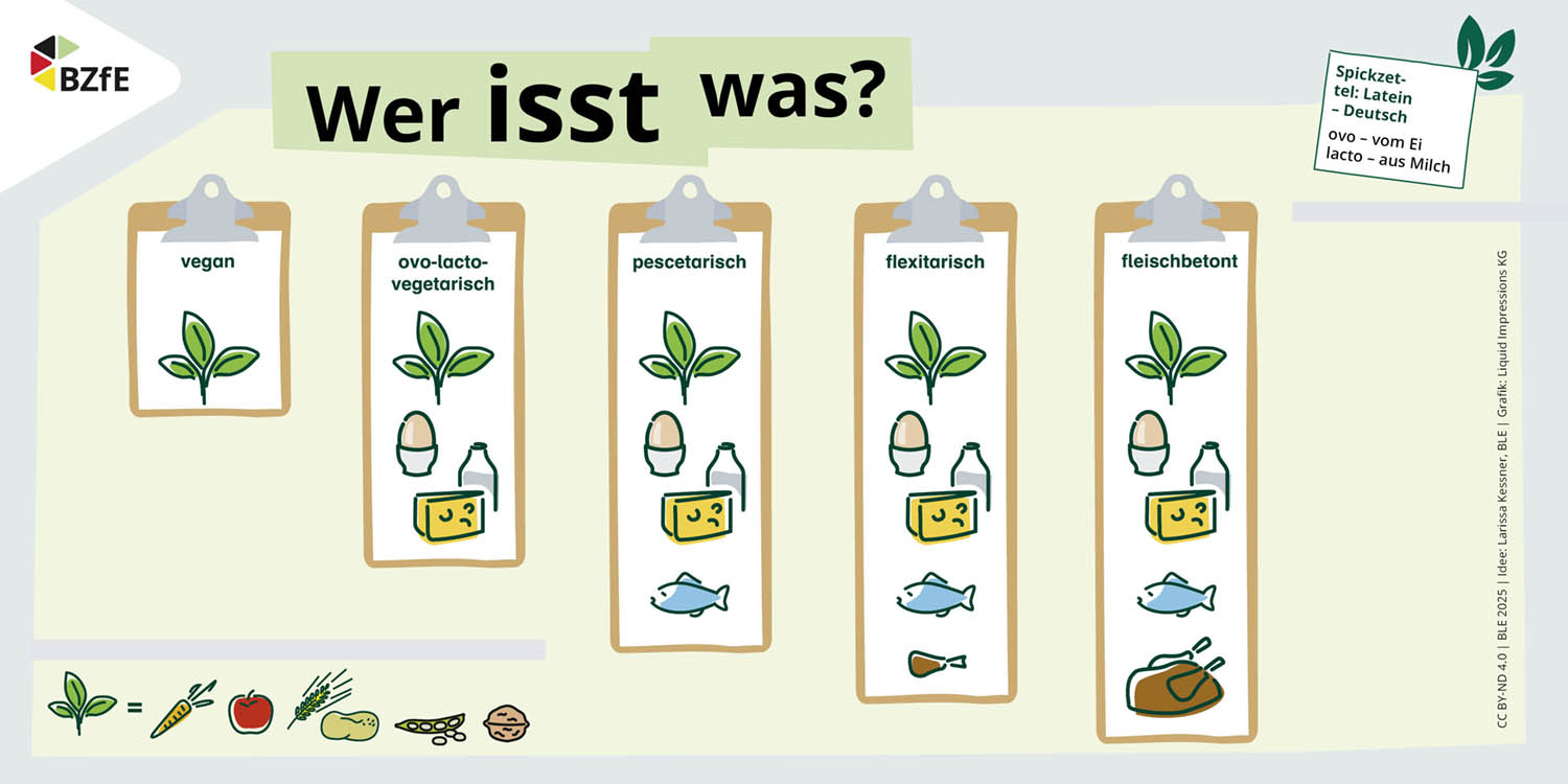 Die Grafik „Wer isst was?“ zeigt anschaulich die Unterschiede zwischen den Ernährungsformen vegan, ovo-lacto-vegetarisch, pescetarisch, flexitarisch und fleischbetont. . Artikel "Vegan, vegetarisch, flexitarisch: Wer isst was?" öffnen.
